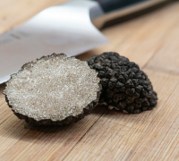 Les JOURNEES TRUFFES